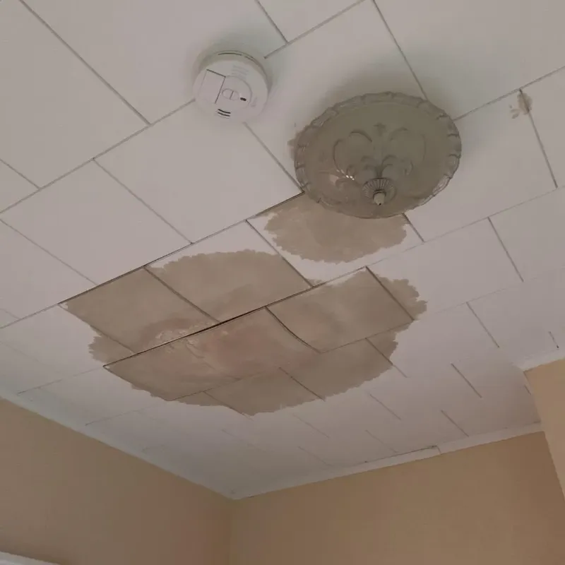 Ceiling Water Damage Repair in Bakerstown, PA