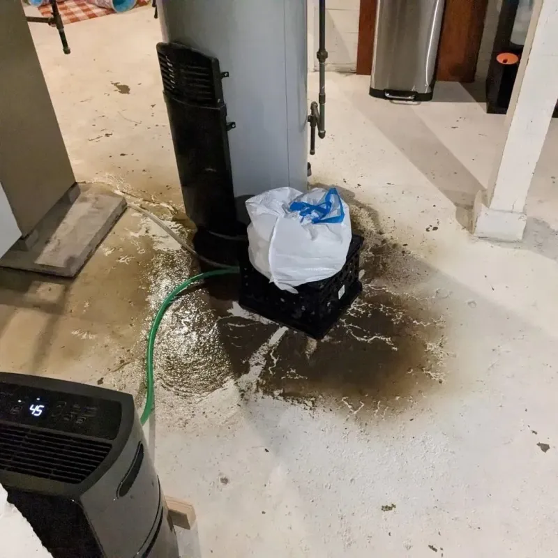 Sewage Backup Cleanup Service in Bakerstown, PA